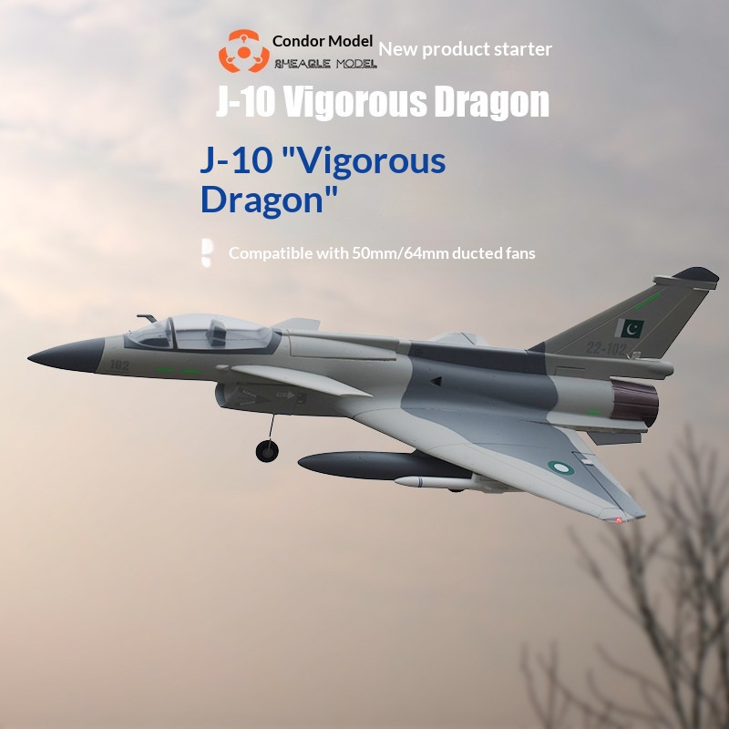 SH-EAGLE MODEL J-10 ヴィゴラスドラゴン  - Model Kit Dragon のレビューと価格