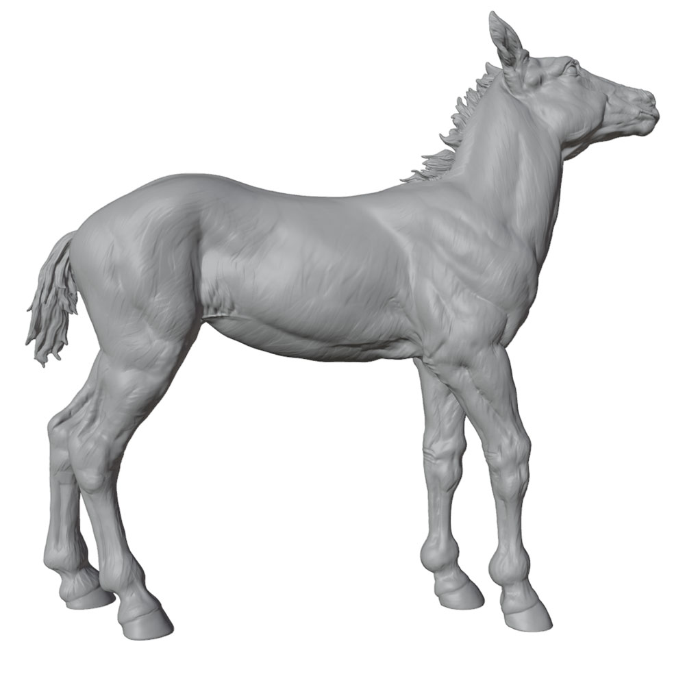 高精細プリント、リアルな馬のミニチュア樹脂製像、手作りモデル - Model Kit Horse のレビューと価格